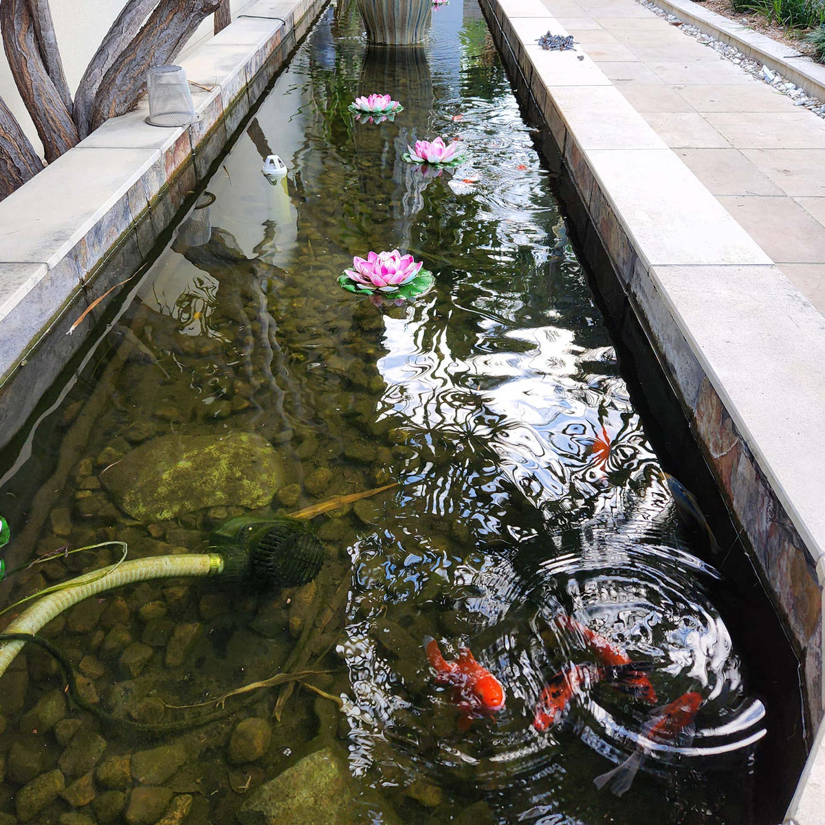 pond waterproofing liquid rubber12