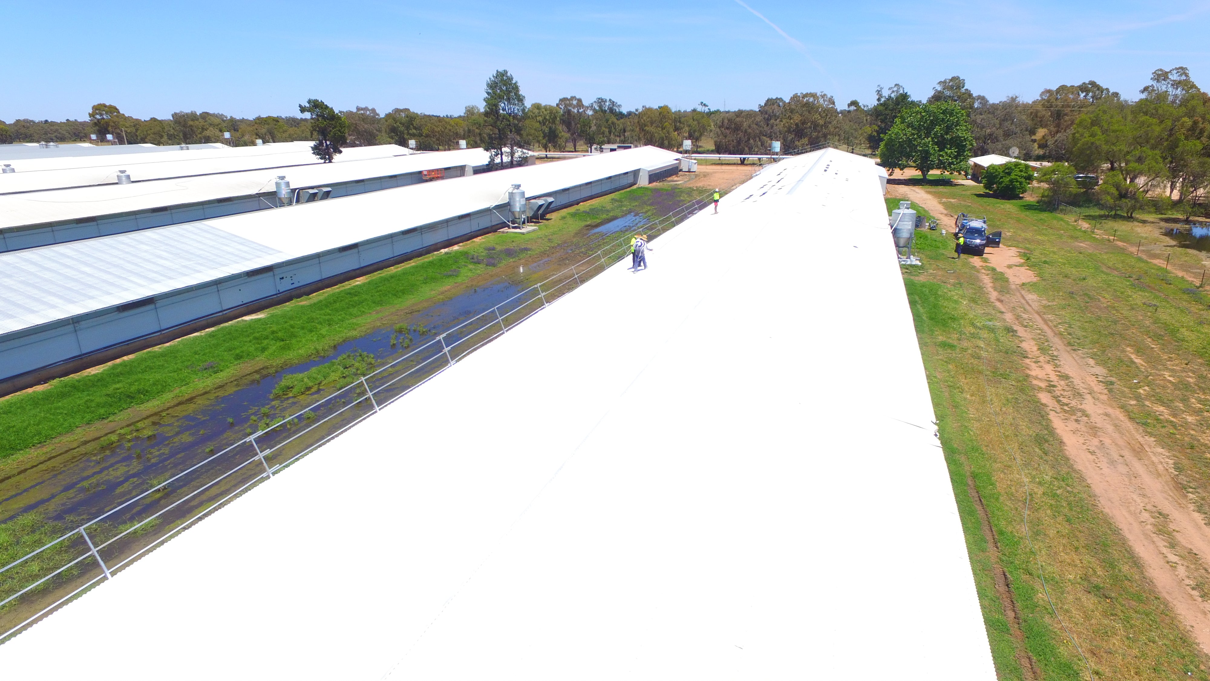 White protective top coat applied on a chicken shed roof for uv protection and roof restoration