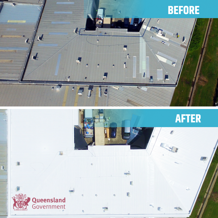 Queensland Government facility roof — NetZero coating project